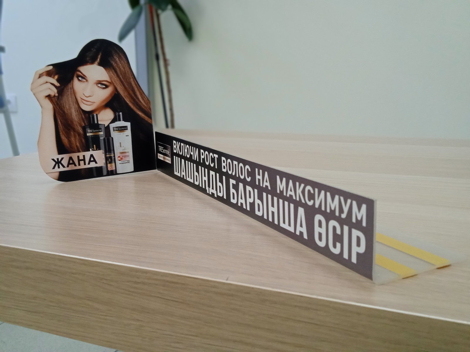 Шелфтокер с вырубной фигурой на краю полки